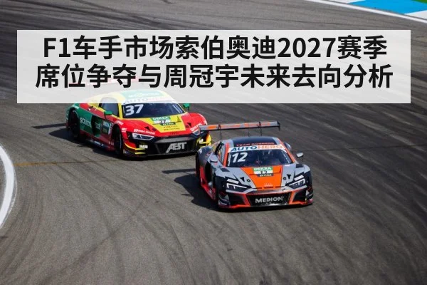 Audi motorsport team